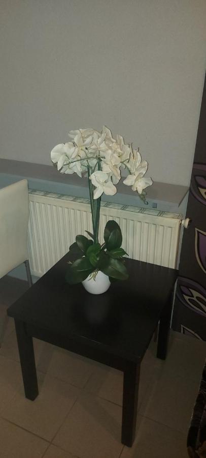 Pauza Motel Tarnowo Podgórne Kültér fotó